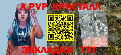 apvp Гусев